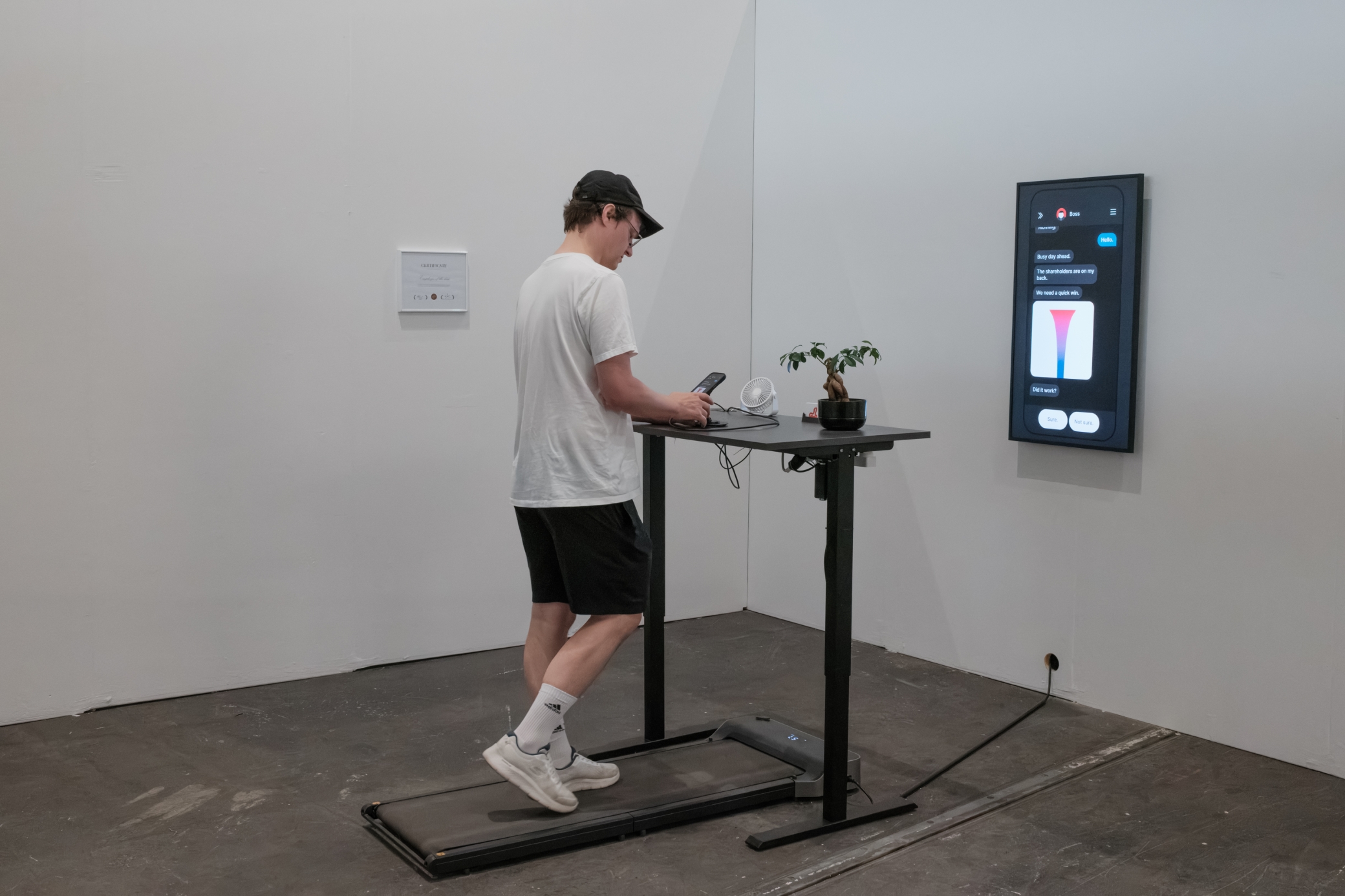 y_exhibition